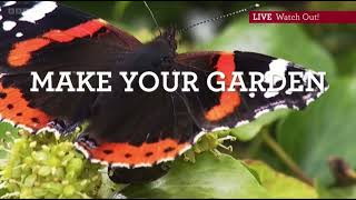 Michaela’s top tips for your wildlife garden in Autumn  Keep it Messy  Watch Out Autumnwatch 2022 [upl. by Seni397]