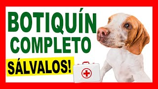 Medicamentos Esenciales para un BOTIQUÍN VETERINARIO en Casa [upl. by Ahsikcin11]