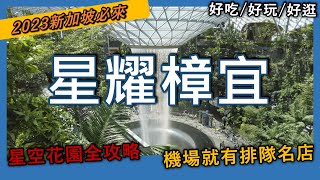 【星耀樟宜】怎麼逛？ 新加坡樟宜機場入境、轉機必逛丨雨漩渦、森林谷、5樓星空花園設施全攻略丨走訪全世界最大室內瀑布、新加坡排隊肉骨茶丨新加坡自由行 [upl. by Harret]