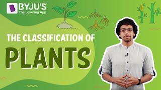 The Classification Of Plants  BYJUS [upl. by Navonoj]