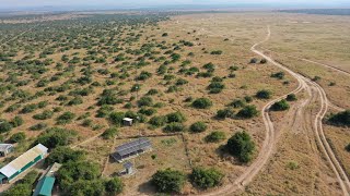 Using AI to fight black rhino poaching [upl. by Attenyl]