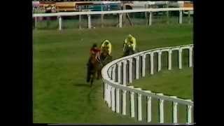 1984 Sandeman Aintree Hurdle [upl. by Eeresed199]