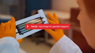 Van biopt tot patiëntrapport  Hartwig Medical Foundation [upl. by Ayatal878]