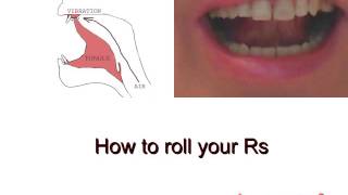 How to trill r  How to roll your Rs in Spanish Russian Italian Arabic etc [upl. by Ennaoj]