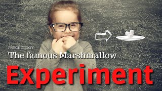 Psychology Delay of Gratification predicts Success  Mischels Marshmallow Experiment Revisited [upl. by Neelav]