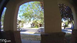 Playing dog sounds through Ring doorbell to get cat off porch [upl. by Jeremy]