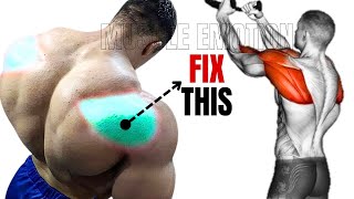 6 BEST REAR DELTOID EXERCISES WITH CABLE ONLY AT GYM [upl. by Nashoma739]