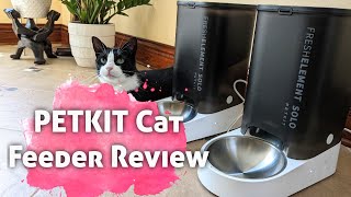 PETKIT Cat Automatic Feeder Review l Fresh Element Solo [upl. by Ybab461]