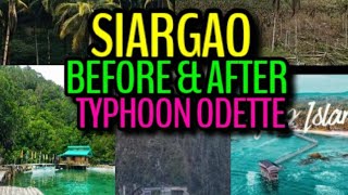 SIARGAO BEFORE AND AFTER TYPHOON ODETTE siargaoisland typhoonodettehelp typhoonrai [upl. by Behlke161]