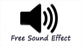 Very funny laughing sound effect free sound effect [upl. by Animrelliug805]