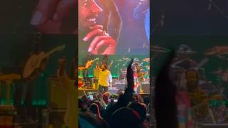 One LOVE Marley Brothers Live Tour Great Show reggae concert ziggymarley reggaemusician [upl. by Madora]