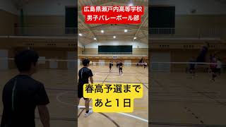 春高予選まであと１日 shorts 瀬戸内高校男子バレーボール部 春高バレー [upl. by Tor]