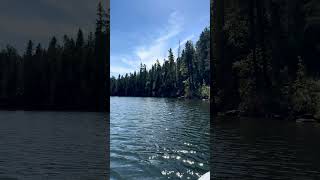 Woods Canyon Lake Arizona  A view from my paddleboard paddleboarding roadtrip explorearizona [upl. by Rexanna340]