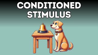 Conditioned Stimulus Explained in 3 Minutes [upl. by Leynwad691]