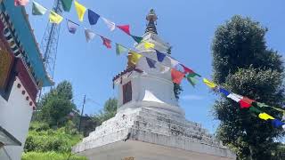 Buddha Temple Gwaldam Uttarakhand [upl. by Gadmon]