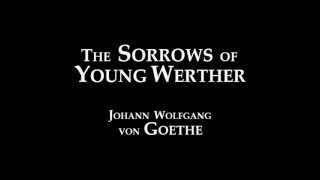 Sorrows of Young Werther 13 Audiobook [upl. by Anehs]