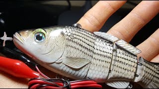 New Fully Motorized Fishing Lure  Beginning of the End for Live Bait [upl. by Laved]