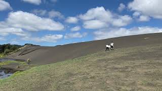 Auckland  Bethells Beach Sand Dunes [upl. by Tsew377]