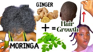 Do This If Your HAIR isnt Growing Moringa amp Ginger Oil for Overnight Hair Growth  Phayte Effects [upl. by Nitsoj]