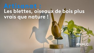 Artisanat  les blettes oiseaux de bois plus vrais que nature [upl. by Nylirrej]