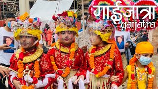 Gai Jatra Kathmandu 2078 [upl. by Willy85]