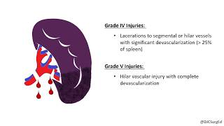 Splenic Injury [upl. by Bywoods]