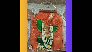 Shri saptashrungi Devi vani todays pooja darshan 191124 shorts trending short youtubeshorts [upl. by Caron]