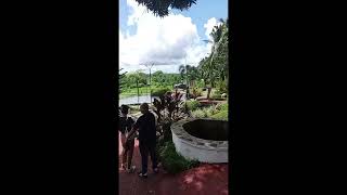 the beauty of samkara lucban Quezon province restaurant and garden [upl. by Teemus]