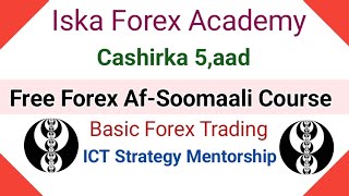 Forex Cashirka 4aad Waa Maxay Leverage  AfSoomaali Basic Forex Course [upl. by Crystal]