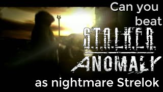 Can you beat STALKER Anomaly as nightmare Strelok [upl. by Nevla455]