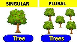 Singular Noun Plural Noun  Nouns  Singular and plural  Basic English grammar  singularandplural [upl. by Teerell]