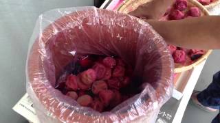 インスタントではない梅昆布茶の入れ方 How to make Umeboshiflavor tea [upl. by Hsekin]