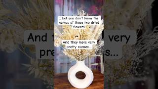 Learn Pretty dried flowers with me flowers preservedflowers driedflowers driedplants [upl. by Wiburg]