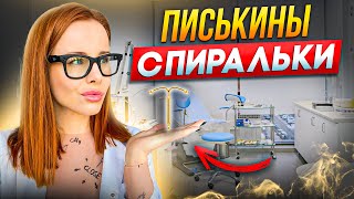 ВНУТРИМАТОЧНЫЕ СПИРАЛИ ГОРМОНАЛЬНЫЕ И НЕ ГОРМОНАЛЬНЫЕ⚕️мой опыт 👩‍⚕️ [upl. by Calva]