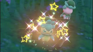 Shiny Fomantis In Pokémon Scarlet [upl. by Harwell251]