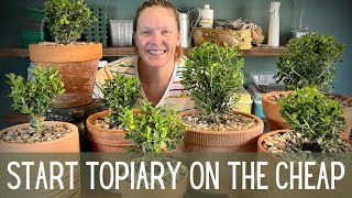 How To Start Topiary On The Cheap 🌲🌲  Topiary Basics  How To Make A Topiary  Topiary Tutorial [upl. by Rahmann]