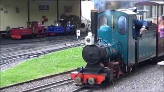 Beer Heights Railway  A Day with Otter No1 22nd May [upl. by Heimlich]