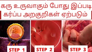 early pregnancy symptoms in tamil by doctorகரு உருவாதல் அறிகுறிimplantation symptoms in tamil [upl. by Fernas]