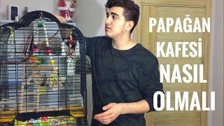 SULTAN PAPAĞANI KAFESİ NASIL OLMALI  JAKO TÜRÜ KAFES [upl. by Noyrb]