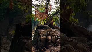 Waterfall  Keonjhar youtubeshorts [upl. by Lledal]