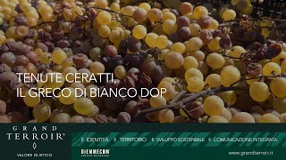 Tenute Ceratti il greco di Bianco DOP  𝗚𝗿𝗮𝗻𝗱 𝗧𝗲𝗿𝗿𝗼𝗶𝗿 [upl. by Nonad]