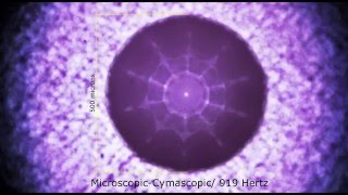 Micro cymatics experiment with a sonicallyexcited sessile water drop [upl. by Nauwtna]