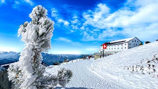 Icecold winter wonderland ❄️ Experience the summit of Mt Rigi in Switzerland 🇨🇭 [upl. by Lion213]