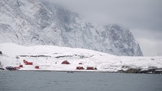 Polar Bear intrusion at Ella Island [upl. by Asir48]