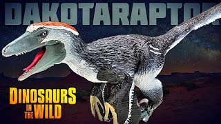 Dinosaurs in the Wild articulated Dakotaraptor Review [upl. by Xer]