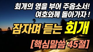 잠자며 듣는 회개 여호와께 돌아가자ㅣ치유 회복 돌파의 영적비밀 성령의 통로가 열리는 핵심성경말씀 45절 성경듣기 공동체성경읽기 성경낭독 십자가 고난주간 말씀듣기 [upl. by Parrnell]