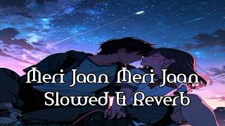 Meri Jaan Meri Jaan Slowed amp Reverb song [upl. by Jochbed]