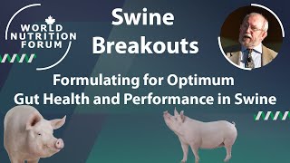 Formulating for Optimum Gut Health and Performance in Swine [upl. by Stalder385]