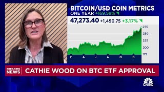 ARK Invest CEO Cathie Wood Our base case for bitcoin is 600000 bull case 15 million by 2030 [upl. by Palmore]