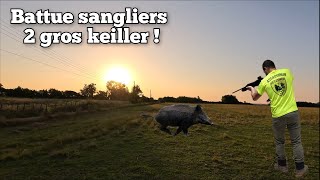 ☆Chasse aux sangliers  2 gros keiller  20242025☆ [upl. by Eileek]